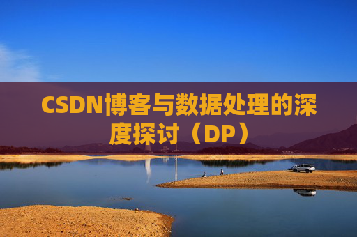 CSDN博客与数据处理的深度探讨（DP）